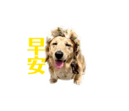 843441139