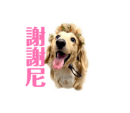 843441142