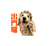 843441143