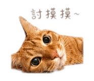 843442329