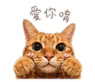 843442331