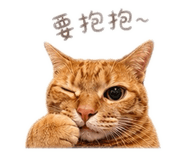 843442332