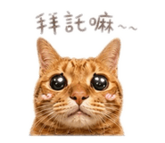 843442333