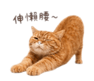 843442334