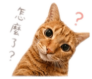 843442351