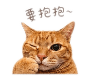 843442356