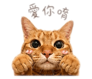 843442357