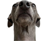 843442553
