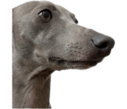 843442555