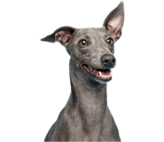 843442568