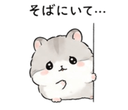 843442802