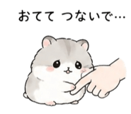 843442813