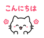 843443237