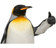 843443552