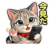 843443781