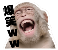 843444518