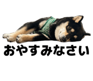 843444712