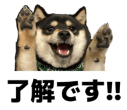 843444713