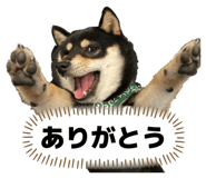843444715
