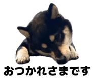 843444716