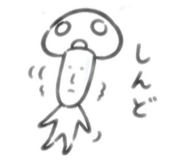 843444767