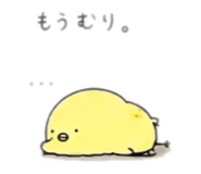 843444809