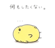 843444813