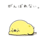 843444820