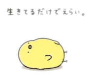 843444826