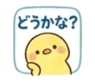 843444883