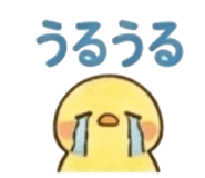843444891