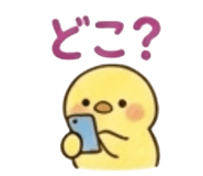 843444904