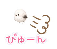 843445199