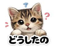 843445460