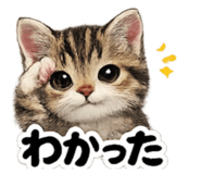 843445468