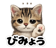 843445470