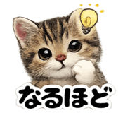 843445478