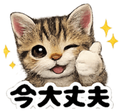 843445483