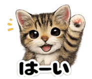 843445484