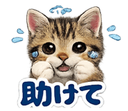 843445486