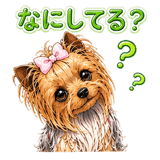 843445925
