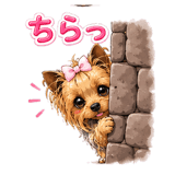 843445944