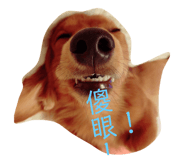 84344855