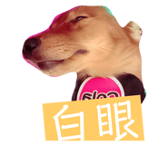 84344862
