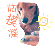 84344864