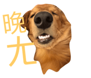 84344869