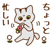 843448810