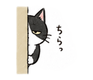 843450247