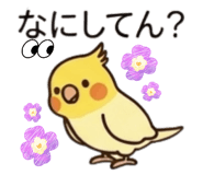843451411