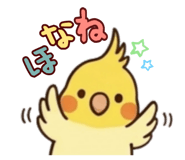 843451418